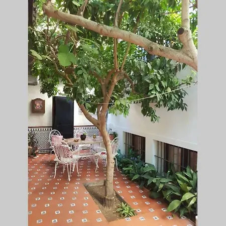 Casa En Con Hermoso Jardin, Parking Calle Prázdninový dům